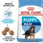 Preview: ROYAL CANIN MAXI Puppy Trockenfutter für Welpen großer Rassen