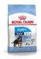 Preview: ROYAL CANIN MAXI Puppy Trockenfutter für Welpen großer Rassen