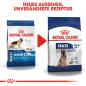 Preview: ROYAL CANIN MAXI Adult 5+ Trockenfutter für ältere große Hunde