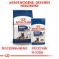 Preview: ROYAL CANIN MAXI Adult 5+ Trockenfutter für ältere große Hunde