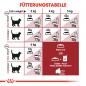 Preview: ROYAL CANIN FIT Trockenfutter für aktive Katzen