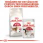 Preview: ROYAL CANIN FIT Trockenfutter für aktive Katzen