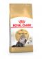 Preview: ROYAL CANIN Persian Adult Trockenfutter für Perser-Katzen