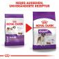 Preview: ROYAL CANIN GIANT Adult Trockenfutter für sehr große Hunde