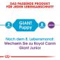 Preview: ROYAL CANIN GIANT Puppy Welpenfutter trocken für sehr große Hunde