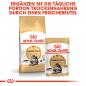 Preview: ROYAL CANIN Maine Coon Adult Katzenfutter trocken