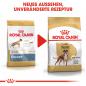 Preview: ROYAL CANIN Boxer Adult Hundefutter trocken