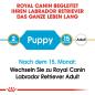 Preview: ROYAL CANIN Labrador Retriever Puppy Welpenfutter trocken