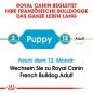 Preview: ROYAL CANIN French Bulldog Puppy Welpenfutter trocken für Französische Bulldoggen