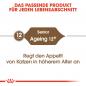 Preview: ROYAL CANIN AGEING 12+ Trockenfutter für ältere Katzen