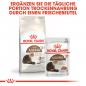 Preview: ROYAL CANIN AGEING 12+ Trockenfutter für ältere Katzen