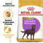 Preview: ROYAL CANIN Labrador Retriever Adult Sterilised Trockenfutter für kastrierte Hunde