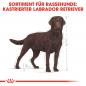 Preview: ROYAL CANIN Labrador Retriever Adult Sterilised Trockenfutter für kastrierte Hunde