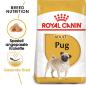 Preview: ROYAL CANIN Pug Adult Hundefutter trocken für Mops