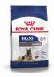 Preview: ROYAL CANIN MAXI Ageing 8+ Trockenfutter für ältere große Hunde