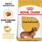 Preview: ROYAL CANIN Dachshund Adult Hundefutter trocken für Dackel