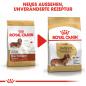 Preview: ROYAL CANIN Dachshund Adult Hundefutter trocken für Dackel