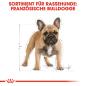 Preview: ROYAL CANIN French Bulldog Adult Hundefutter trocken für Französische Bulldoggen