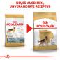 Preview: ROYAL CANIN German Shepherd Adult Hundefutter trocken für Deutsche Schäferhunde