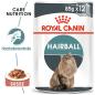 Preview: Royal Canin Hairball Care in Soße