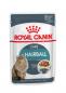 Preview: Royal Canin Hairball Care in Soße