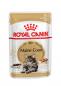 Preview: ROYAL CANIN Maine Coon Adult Katzenfutter nass