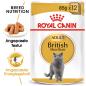 Preview: ROYAL CANIN British Shorthair Adult Katzenfutter nass für Britisch Kurzhaar