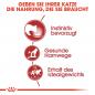 Preview: ROYAL CANIN INSTINCTIVE Katzenfutter nass in Soße