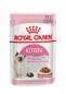 Preview: ROYAL CANIN KITTEN Nassfutter in Soße für Kätzchen