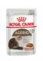 Preview: ROYAL CANIN AGEING 12+ in Soße Nassfutter für ältere Katzen