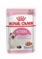 Preview: Royal Canin Kitten in Gelee