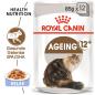 Preview: Royal Canin Ageing +12 in Gelee