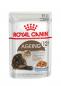 Preview: Royal Canin Ageing +12 in Gelee