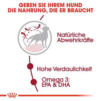 ROYAL CANIN MEDIUM Adult Trockenfutter für mittelgroße Hunde