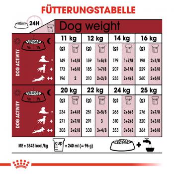 ROYAL CANIN MEDIUM Adult Trockenfutter für mittelgroße Hunde