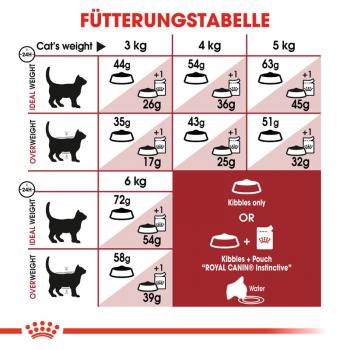 ROYAL CANIN FIT Trockenfutter für aktive Katzen