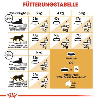 ROYAL CANIN Persian Adult Trockenfutter für Perser-Katzen