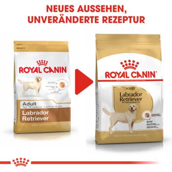 ROYAL CANIN Labrador Retriever Adult Hundefutter trocken