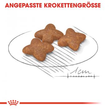 ROYAL CANIN MINI Adult Trockenfutter für kleine Hunde