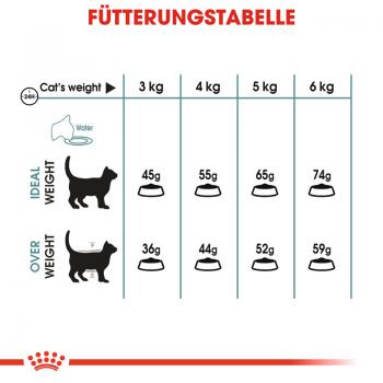 ROYAL CANIN Hairball Care Katzenfutter trocken gegen Haarballen