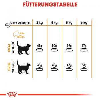 ROYAL CANIN Hair & Skin Care Katzenfutter trocken für gesundes Fell