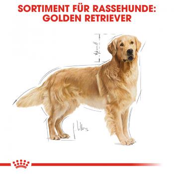 ROYAL CANIN Golden Retriever Adult Hundefutter trocken