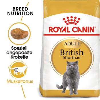 ROYAL CANIN British Shorthair Katzenfutter trocken für Britisch Kurzhaar