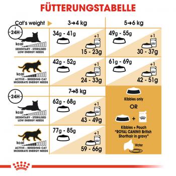 ROYAL CANIN British Shorthair Katzenfutter trocken für Britisch Kurzhaar