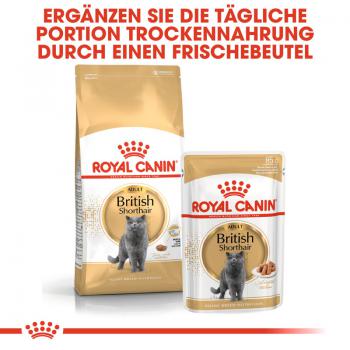 ROYAL CANIN British Shorthair Katzenfutter trocken für Britisch Kurzhaar