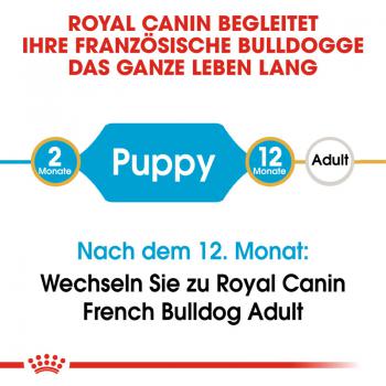 ROYAL CANIN French Bulldog Puppy Welpenfutter trocken für Französische Bulldoggen