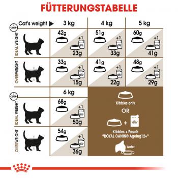 ROYAL CANIN AGEING 12+ Trockenfutter für ältere Katzen