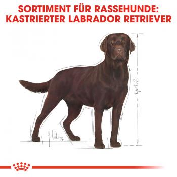 ROYAL CANIN Labrador Retriever Adult Sterilised Trockenfutter für kastrierte Hunde