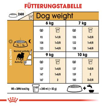 ROYAL CANIN Pug Adult Hundefutter trocken für Mops