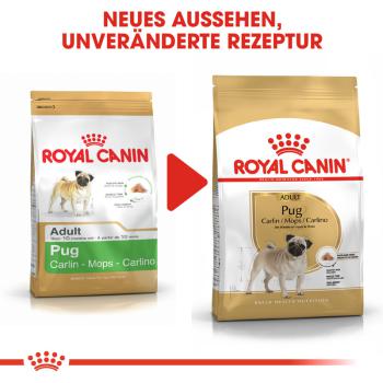 ROYAL CANIN Pug Adult Hundefutter trocken für Mops